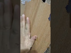 Pengenalan ubin keramik seri kayu ukuran 200x1200mm