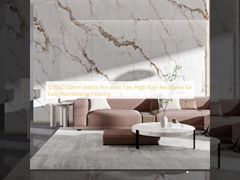 1200x2700mm Peti Porselen Indoor Tahan noda tinggi untuk perawatan lantai yang mudah