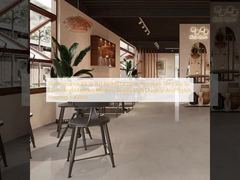 Peringkat Anti-selip R9 Hingga R11 Ubin Porselen Modern Mudah Dibersihkan Dan Dirawat Gaya Sederhana Modern Solusi Lantai Tahan Lama Dan Bergaya