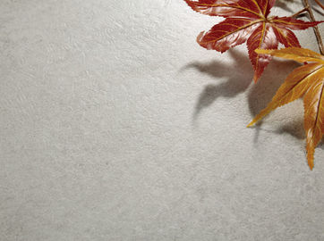 600x600 mm Ukuran Tile Grip Lappato Tile Peal Color Tile Heat Insulation