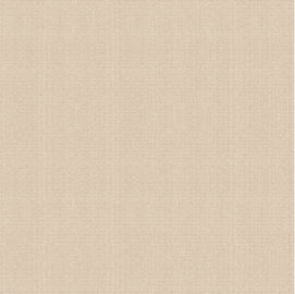 Matt Surface Non Slip Cement Look Porcelain Tile, Rustic Matt Porcelain Tiles 600 * 600mm